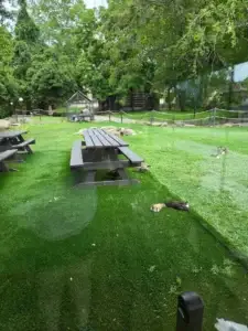 The Baht restaurant lawn area Gatlinburg