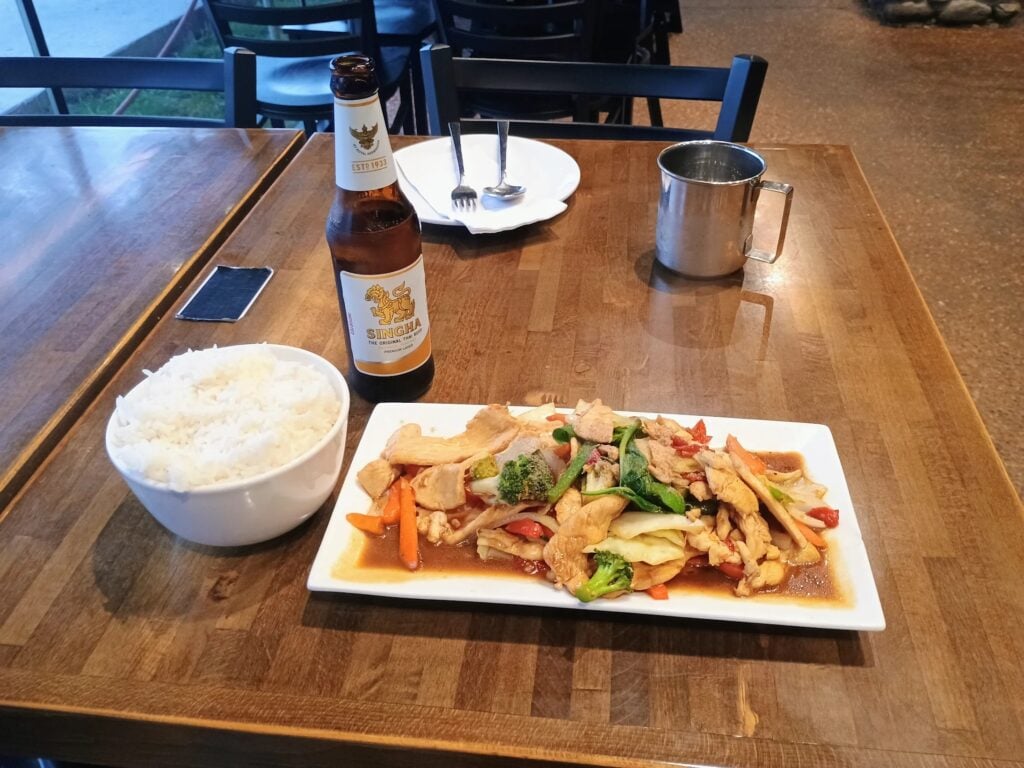 Plate of stir-fried chicken and rice